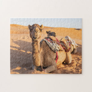 Nahaufnahme einer lustigen Kamel in der omanischen Puzzle