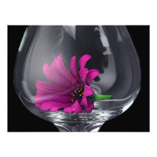 Nahaufnahme einer rosa Gänseblümchen in einem Wein Fotodruck