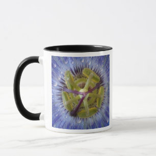 Nahaufnahme einer taufeuchten Passionsblume. Bildn Tasse