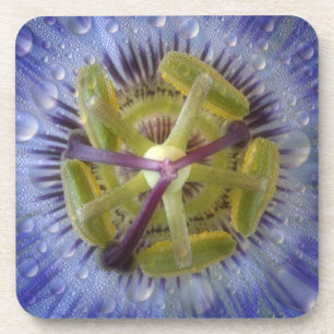 Nahaufnahme einer taufeuchten Passionsblume. Credi Getränkeuntersetzer