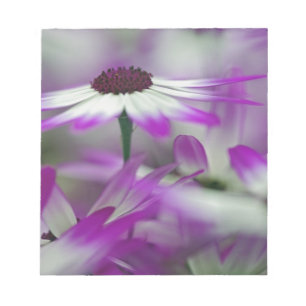 Nahaufnahme einer violetten Blume, Keukenhof-Garte Notizblock