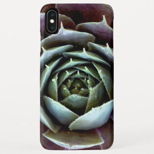Nahaufnahme einer violetten Sukkulente Case-Mate iPhone Hülle