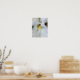 Nahaufnahme einer weißen Bartiris in Blüte Poster
