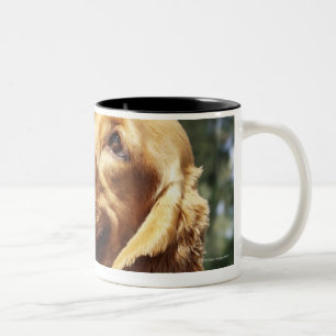 Nahaufnahme eines Apfels vor einem Hund Zweifarbige Tasse
