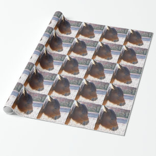 Nahaufnahme eines braunen Pferdes, kleines braunes Geschenkpapier
