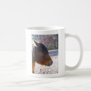 Nahaufnahme eines braunen Pferdes, kleines braunes Tasse