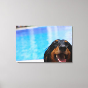 Nahaufnahme eines Dackelhundekeuchens Leinwanddruck