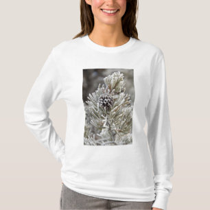 Nahaufnahme eines gefrorenen Kiefernzapfens, Yello T-Shirt