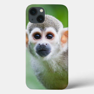 Nahaufnahme eines gemeinen Eichhörnchen-Affen Case-Mate iPhone Hülle