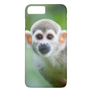 Nahaufnahme eines gemeinen Eichhörnchen-Affen Case-Mate iPhone Hülle