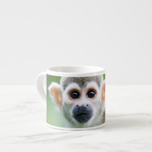 Nahaufnahme eines gemeinen Eichhörnchen-Affen Espressotasse
