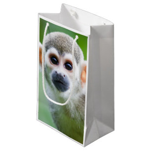 Nahaufnahme eines gemeinen Eichhörnchen-Affen Kleine Geschenktüte