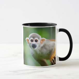 Nahaufnahme eines gemeinen Eichhörnchen-Affen Tasse