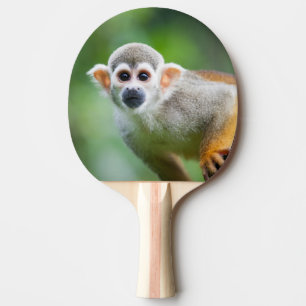 Nahaufnahme eines gemeinen Eichhörnchen-Affen Tischtennis Schläger