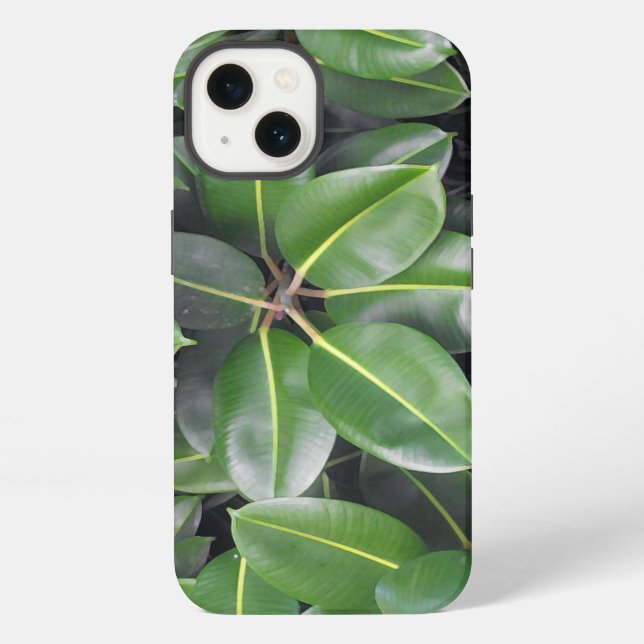Nahaufnahme eines Gummibaums iPhone Hülle (Rückseite)