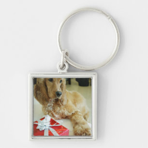 Nahaufnahme eines Hundes mit einem Geschenk Schlüsselanhänger