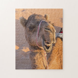 Nahaufnahme eines lustigen Kamelkopfes in der oman Puzzle