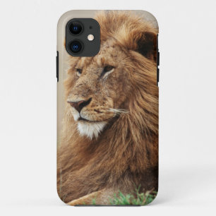 Nahaufnahme eines männlichen Löwen iPhone 11 Hülle