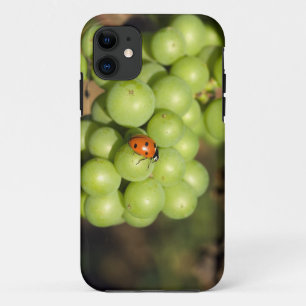 Nahaufnahme eines Marienkäfers auf grünen Pinot No Case-Mate iPhone Hülle