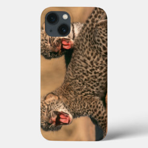 Nahaufnahme eines neugeborenen Leoparden (Panthera iPhone 13 Hülle