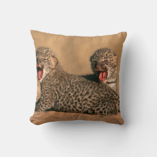 Nahaufnahme eines neugeborenen Leoparden (Panthera Kissen