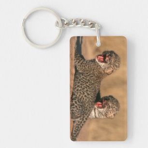 Nahaufnahme eines neugeborenen Leoparden (Panthera Schlüsselanhänger