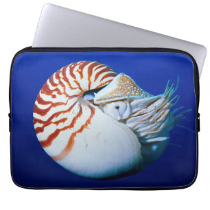 Nahaufnahme eines Perlboots Laptopschutzhülle