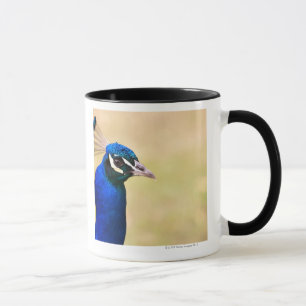 Nahaufnahme eines Pfaus 2 Tasse