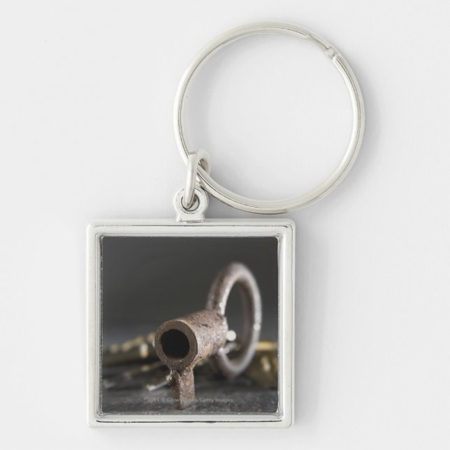 Nahaufnahme eines Schlüssels in einem Schlüsselanhänger (Vorne)