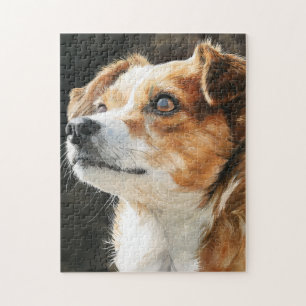 Nahaufnahme eines Terrier-Chihuahua-Mischlingshund Puzzle