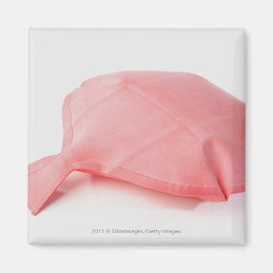 Nahaufnahme eines whoopee Kissens Magnet