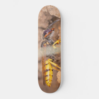 Nahaufnahme-Foto einer Wespe Skateboard