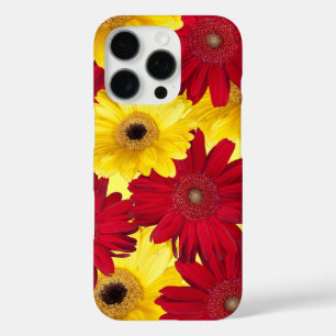 Nahaufnahme-Fotografie von Gerber-Marguerite-Blume iPhone 16 Pro Hülle