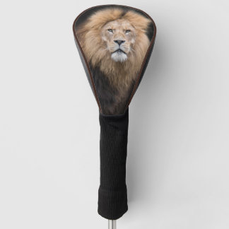 Nahaufnahme-Porträt eines männlichen Löwes Golf Headcover
