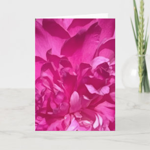 Nahaufnahme Rhododendron-Blüten-Pflanzenfoto Karte