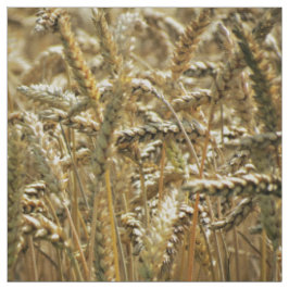 Nahaufnahme-themenorientiertes, getrocknetes Gras Stoff