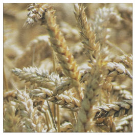 Nahaufnahme-themenorientiertes, getrocknetes Gras Stoff