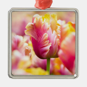 Nahaufnahme-Tulpen Ornament Aus Metall