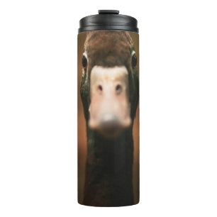 NAHAUFNAHME VOM ENTENGEICHT THERMOSBECHER