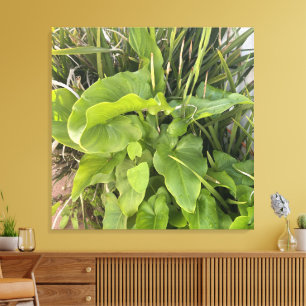 Nahaufnahme vom Hinterhof-Garten Outdoor-Naturfoto Leinwanddruck