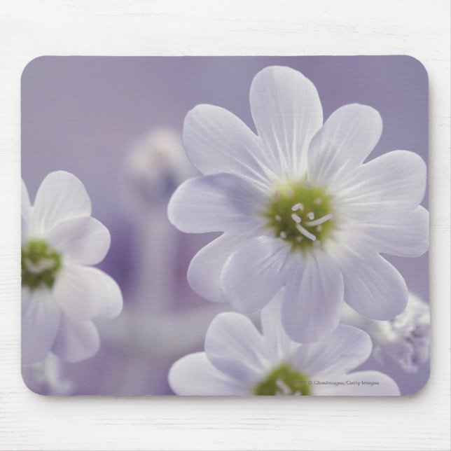 Nahaufnahme von Blumen 2 Mousepad (Vorne)