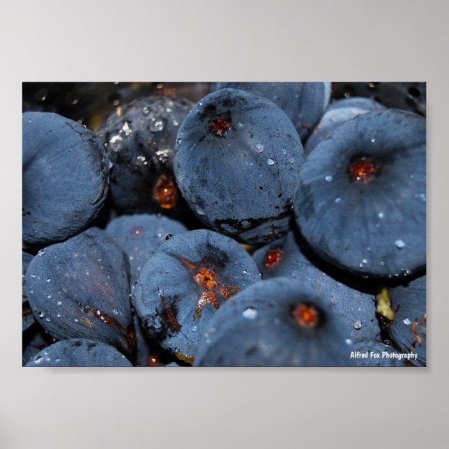 Nahaufnahme von Feigenfrucht Poster (Vorne)