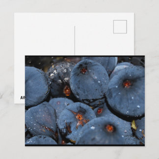 Nahaufnahme von Feigenfrucht Postkarte