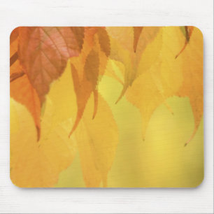 Nahaufnahme von Herbstblättern an einem Ast Mousepad