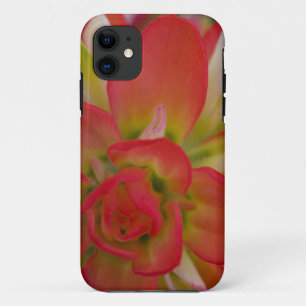 Nahaufnahme von Indian Paint Brush in der Nähe von iPhone 11 Hülle