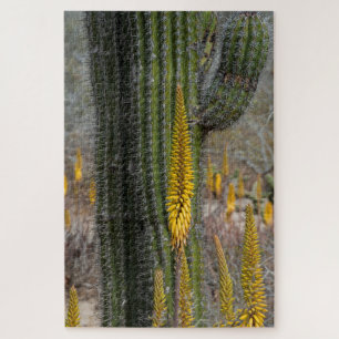 Nahaufnahme von Kaktus und Agave Puzzle