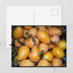 Nahaufnahme von Loquat-Frucht Postkarte