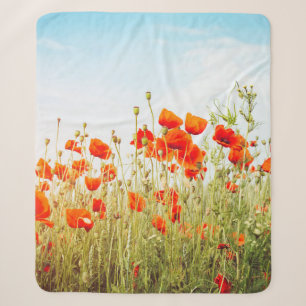 Nahaufnahme von Mohnblumen auf dem Feld. Wilde Blu Sherpadecke