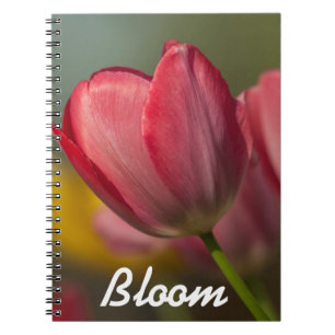 Nahaufnahme von roten und gelben Tulpen im Garten Notizblock