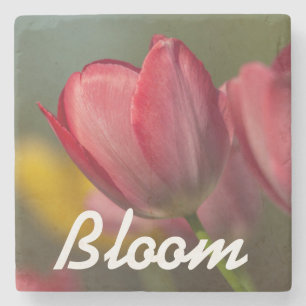 Nahaufnahme von roten und gelben Tulpen im Garten Steinuntersetzer